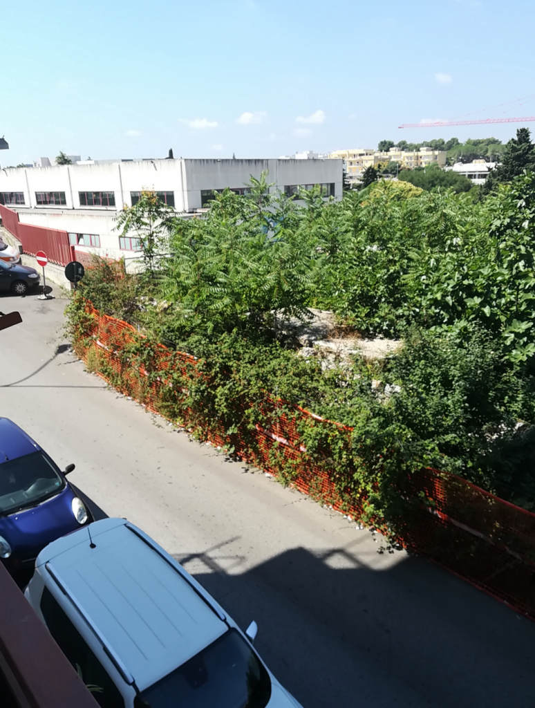 IMG 20190729 062928