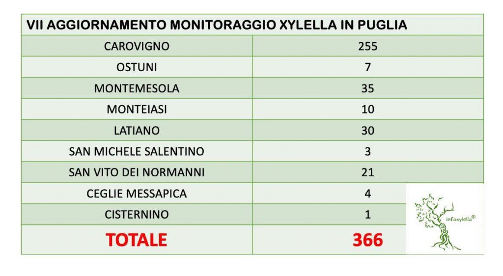 VII aggiornamento monitoraggio Xylella.JPG