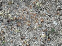 PHOTO 2019 08 22 06 57 49