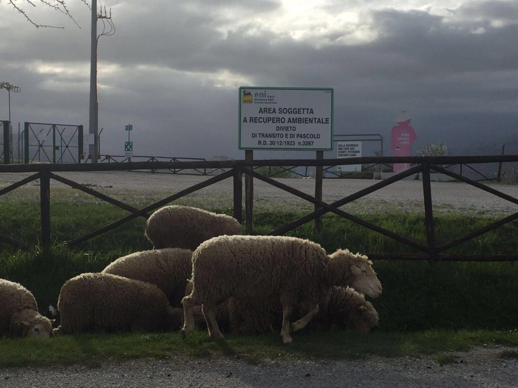 FOTO PETROLIO BASILICATA