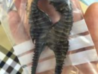 IMG 20190909 145541