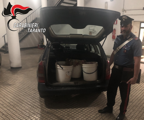 IMG 20190923 124120