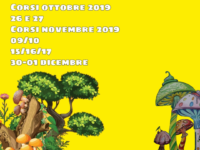 IMG 20191011 170035