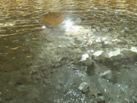 IMG 20191019 071146