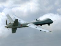 SeaDrone19 Predator