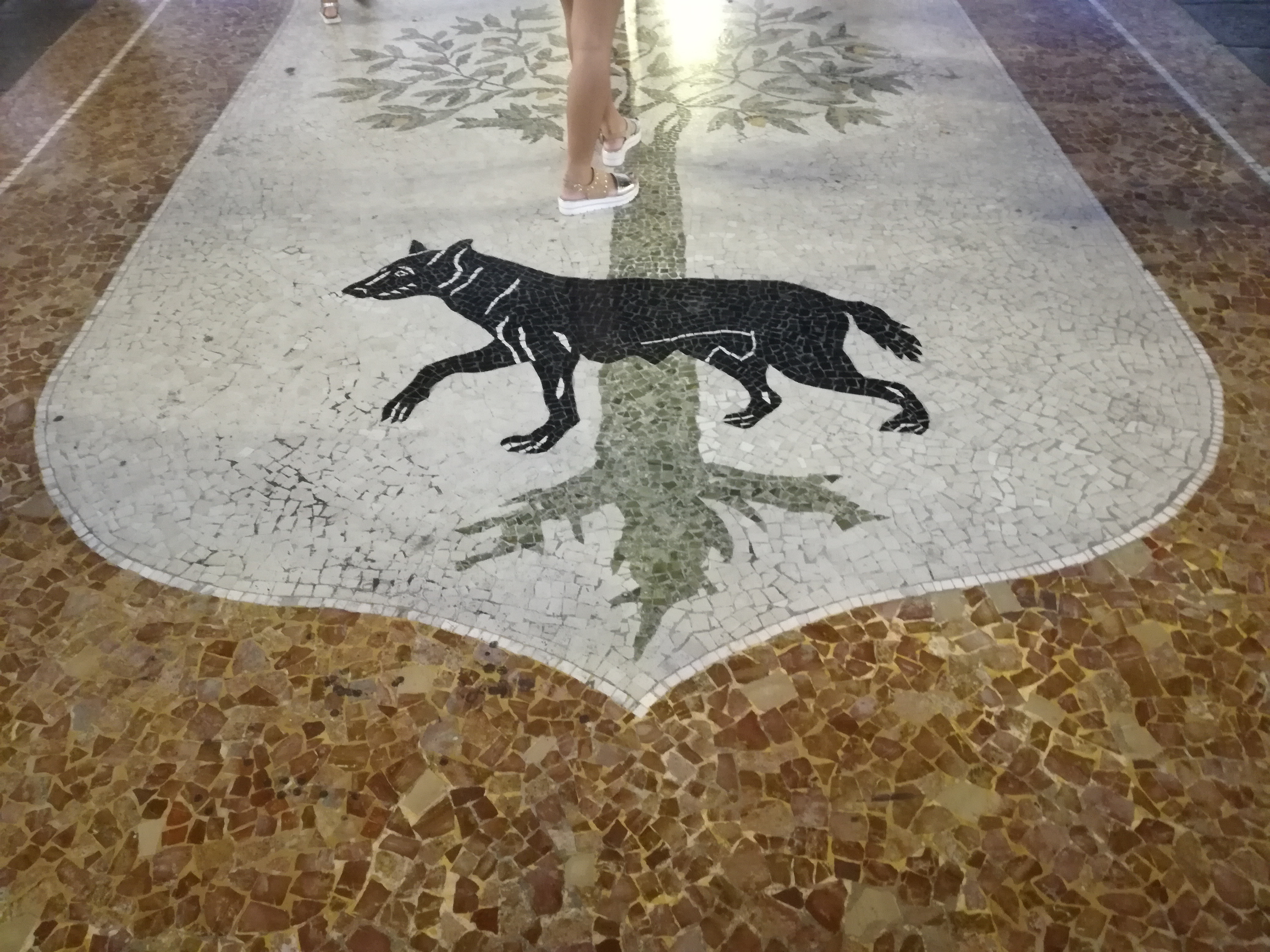 Lecce: regolamento movida, consumazione bevande all’esterno di locali in bicchieri biodegradabili Approvato dal consiglio comunale