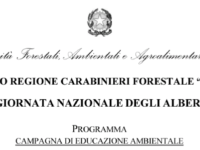 IMG 20191121 050647