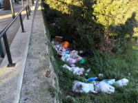 IMG 20191123 055231
