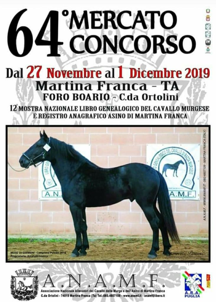 IMG 20191127 042915
