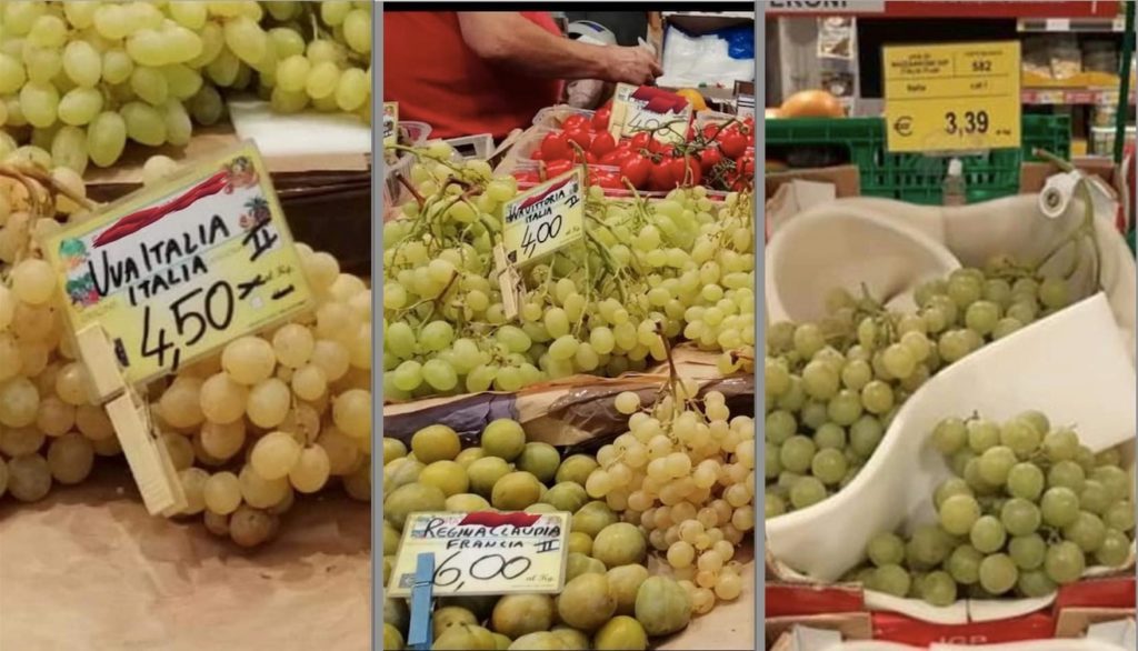 Uva da tavola i prezzi