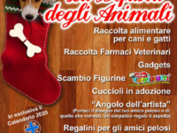 IMG 20191228 122212