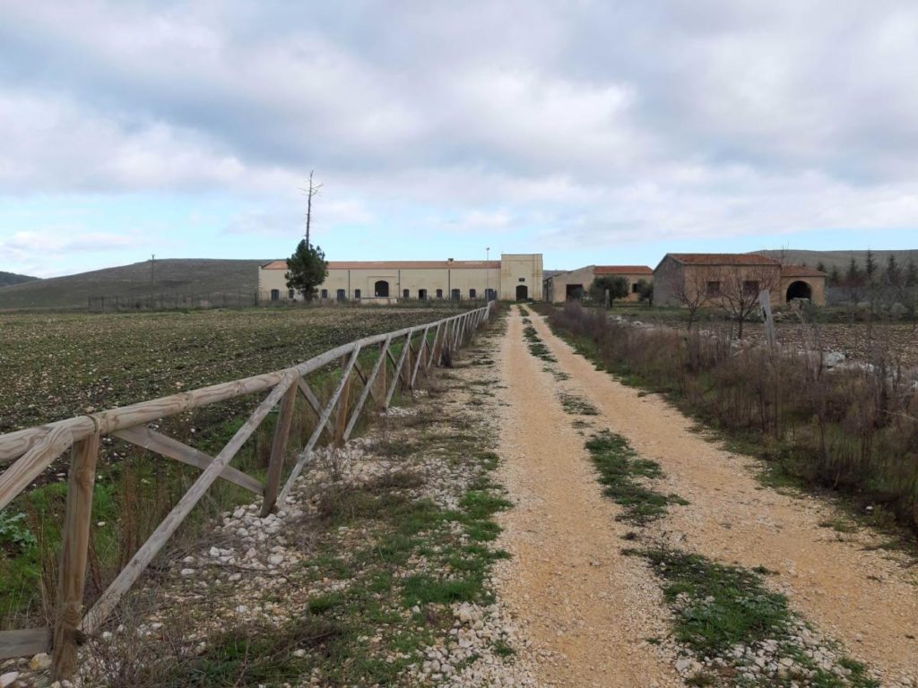 MASSERIA FILIERI DIC 2019