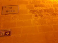 IMG 20200226 054758