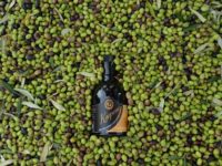 pietrasanta slow food 1