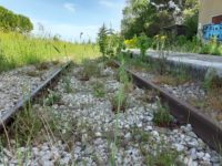 FERROVIA POGGIORSINI 2020 3