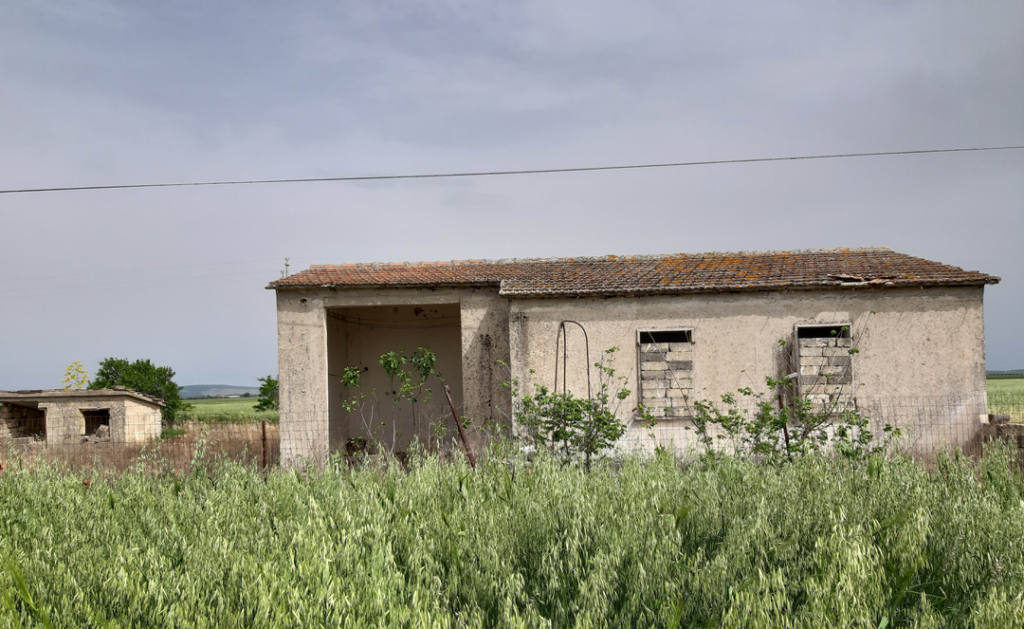 IMG 20200615 063548