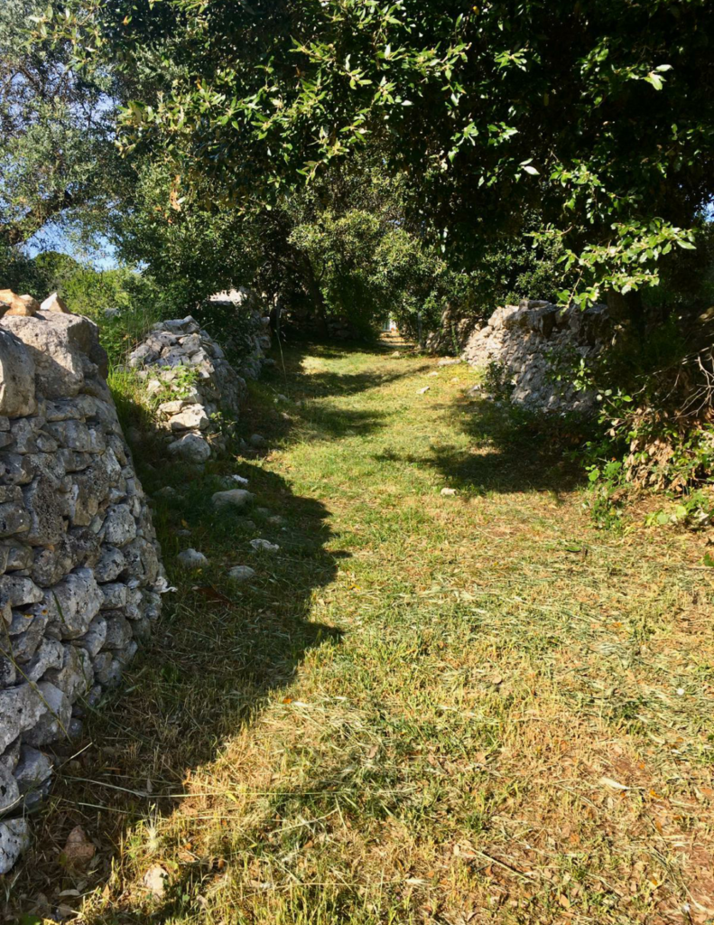 IMG 20200617 141711