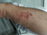 IMG 20200706 174822