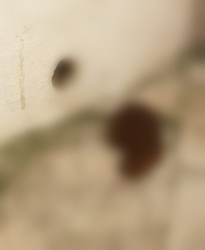 IMG 20200723 121608