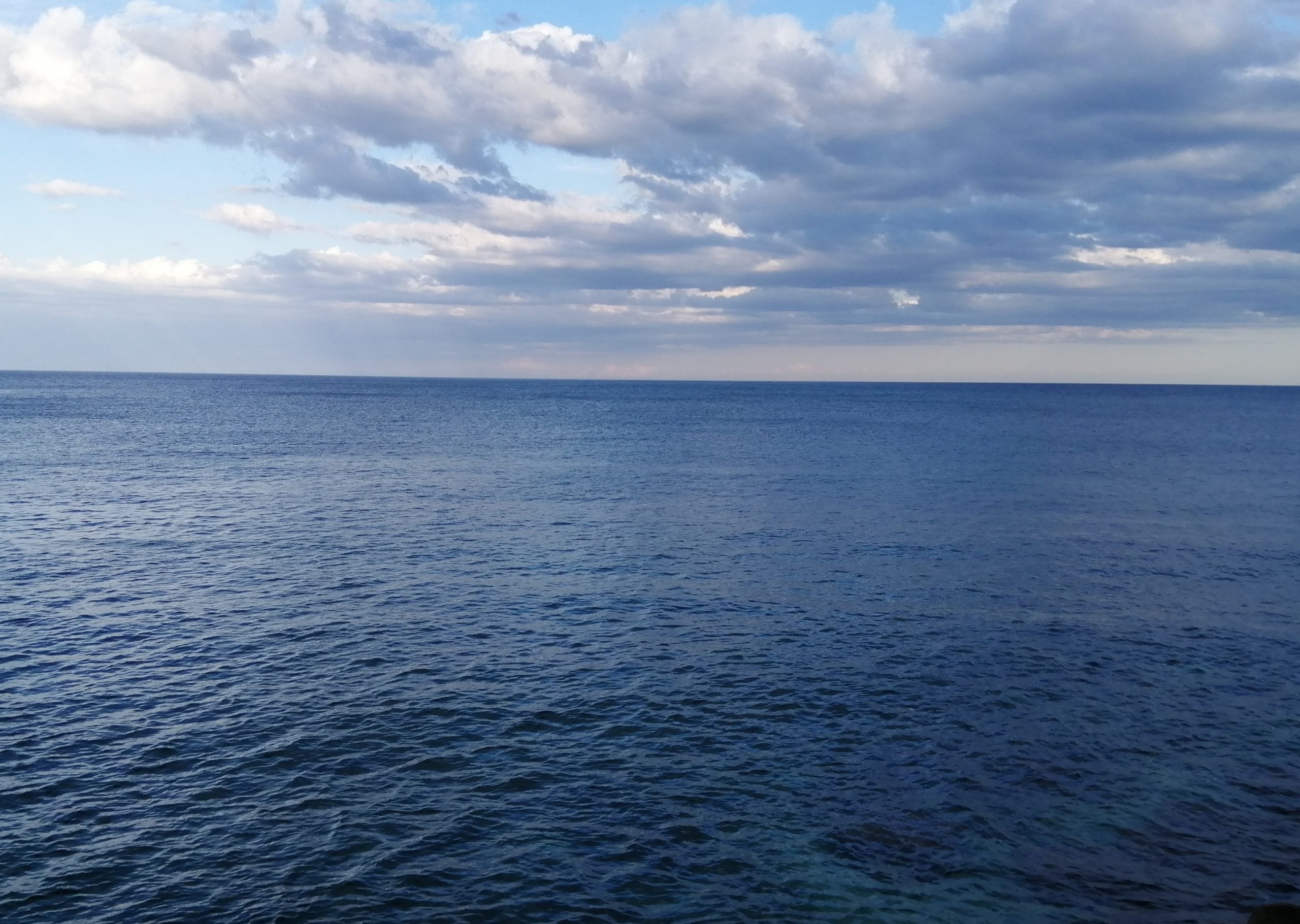 Domani l’arrivo a Monopoli di una nave dall’Ucraina: seimila tonnellate per produrre olio di semi di girasole Invasione russa, ancora gravi attività nella zona della centrale nucleare Domani l’arrivo a Monopoli di una nave dall’Ucraina: seimila tonnellate per produrre olio di semi di girasole Invasione russa, ancora gravi attività nella zona della centrale nucleare