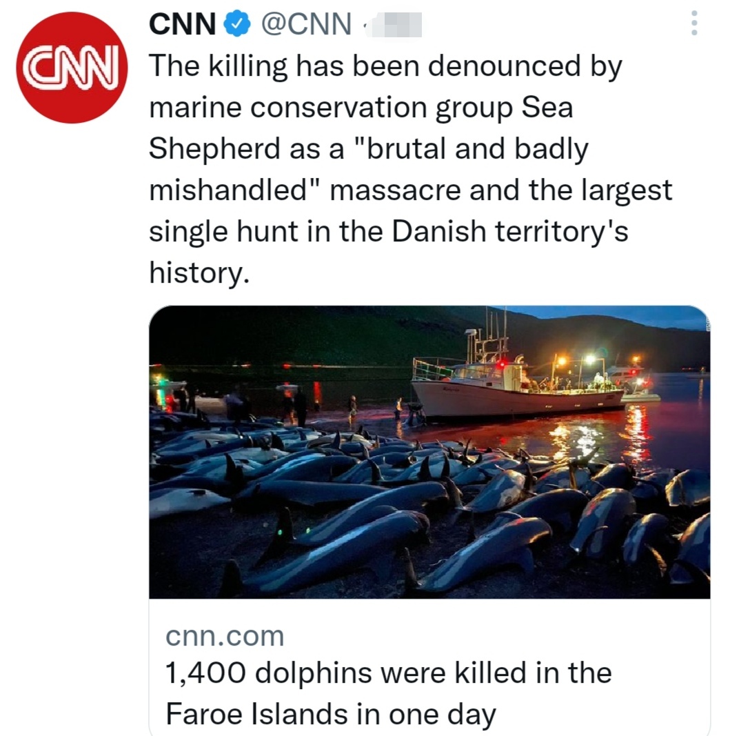 Nelle isole in territorio danese il massacro di 1400 delfini in un giorno | un appello perché dalla città pugliese dei delfini si levi la riprovazione Mettere fine a questo atto di barbarie - Vimarsana News