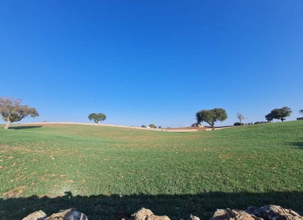 Screenshot 20211105 053529
