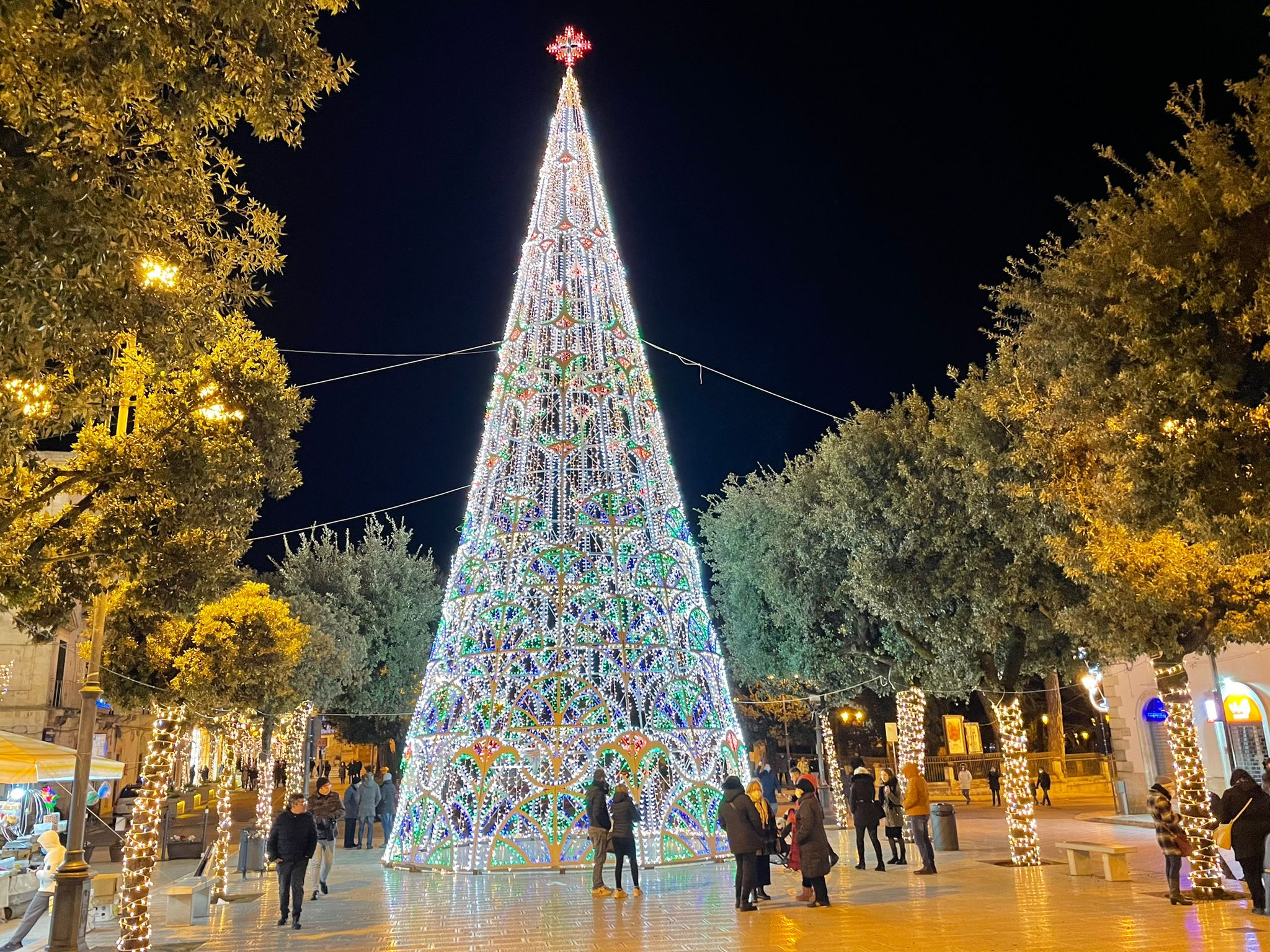 Martina Franca: acceso l'albero di Natale alto 24 metri – Noi Notizie.