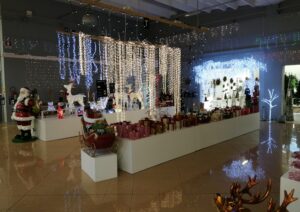 IMG 20220116 051642