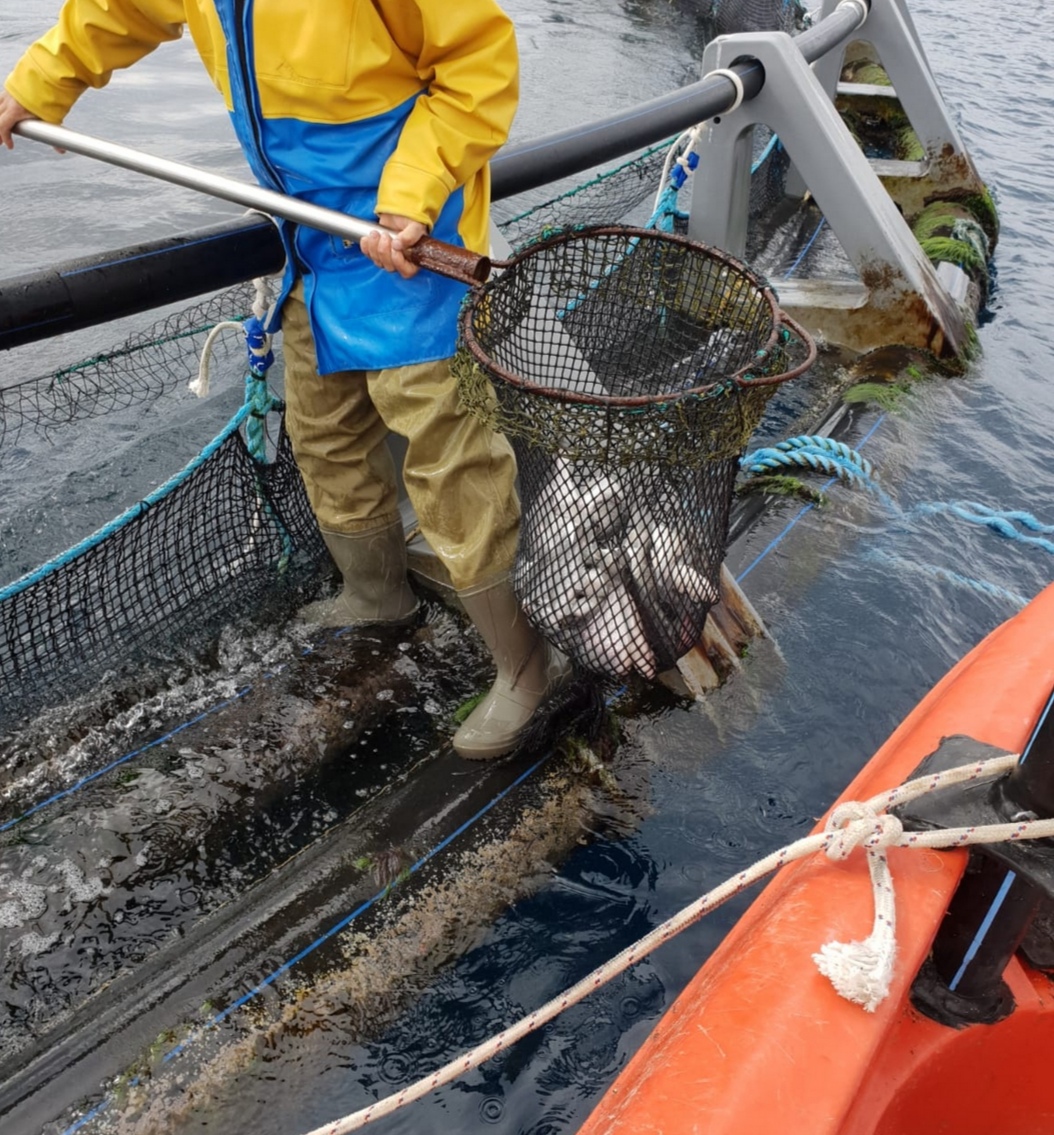 Puglia, pesca: caro gasolio, marinerie ferme Sale il livello della protesta Puglia, pesca: caro gasolio, marinerie ferme Sale il livello della protesta