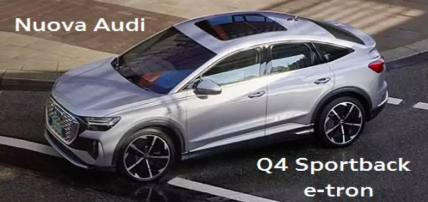 audisportback.jpg