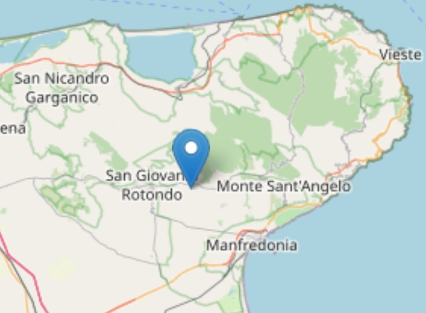 Terremoto: lieve scossa nella notte, epicentro non lontano da San Giovanni Rotondo Magnitudo 2,2 registrata alle 3,32
