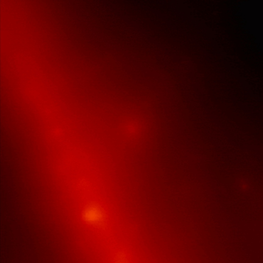 Screenshot 20221019 051822