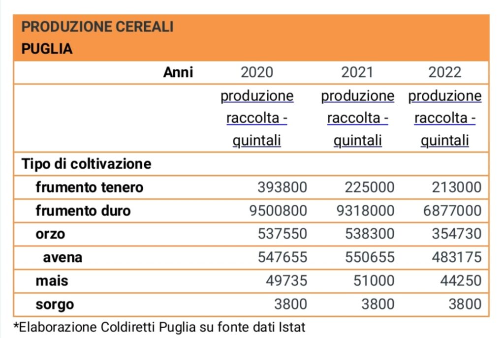 Screenshot 20221022 072502