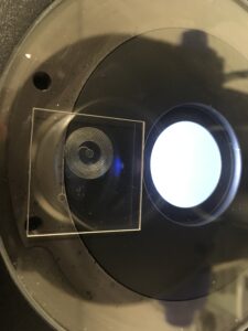 Lab On Chip a spirale