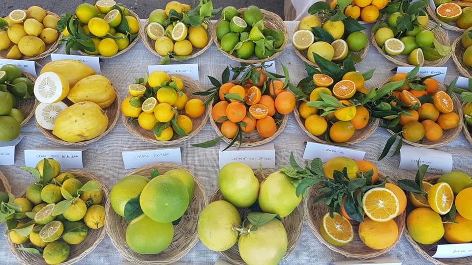 agrumi di Puglia