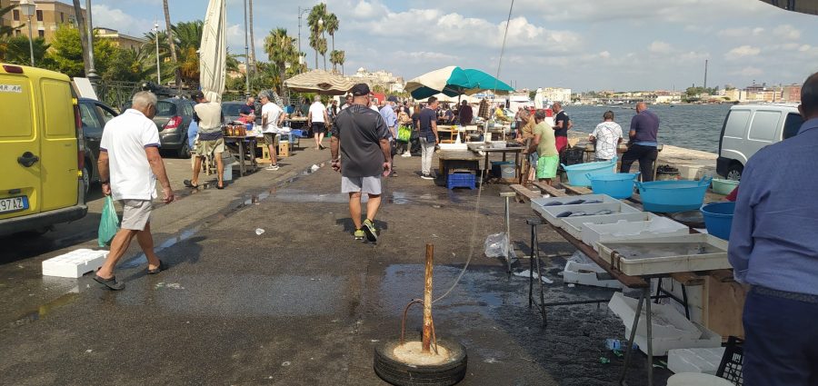 mercato del pesce 900x425 1