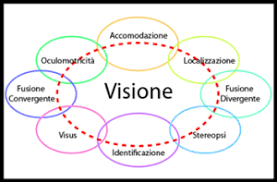 7 Visione
