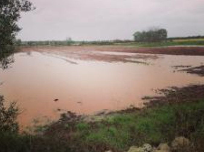 Maltempo: Salento, “diluvio universale” Coldiretti Puglia