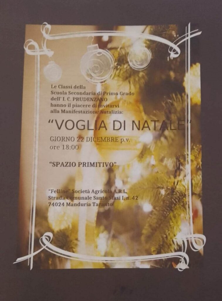 Voglia di Natale Locandina 1