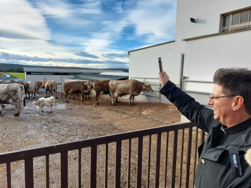 Benedizione degli animali Putignano per SantAntonio