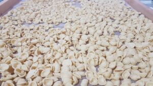 orecchiette filiera semola italiana