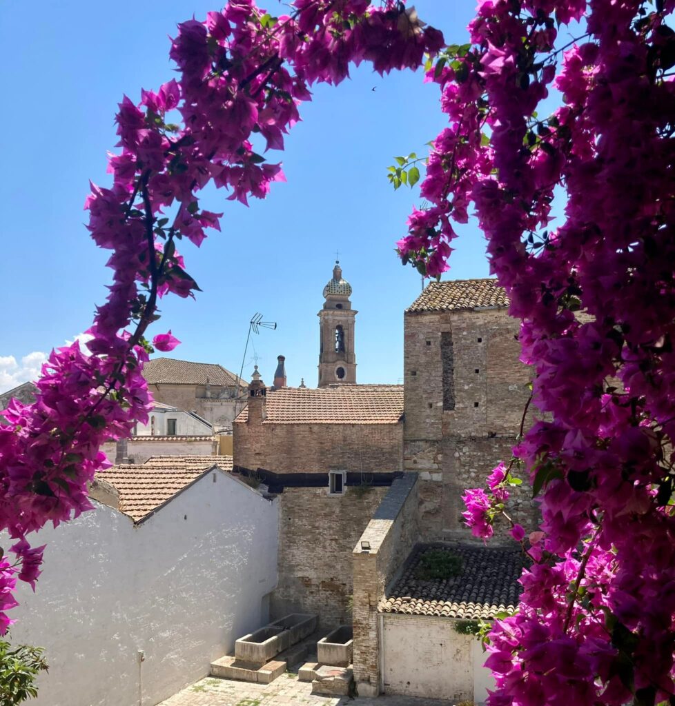 San Severo la citta dei campanili