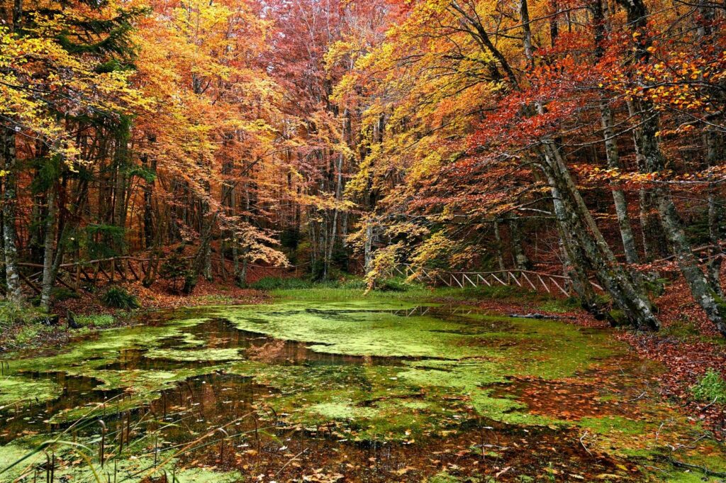 FOTO PIETRO AMENDOLARA