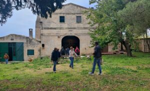 Masseria Recupa di Scardinale RADICI