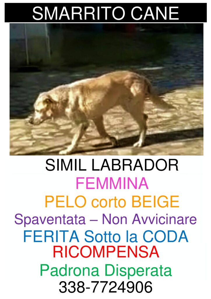volantino per attivita commerciali page 0 scaled