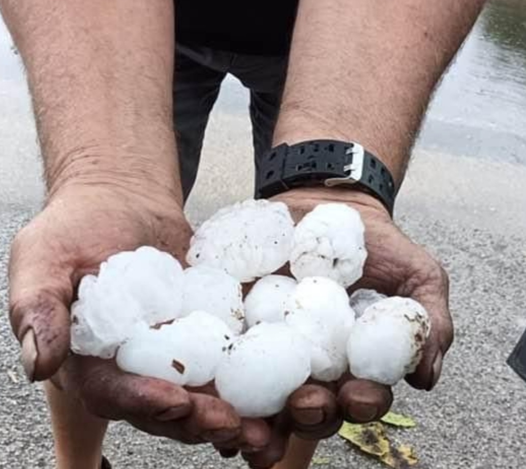 Puglia, maltempo: grandine come palle da golf tra foggiano e barese, poi temporale serale. Oggi allerta gialla nell’intera regione Protezione civile, previsioni meteo Puglia, maltempo: grandine come palle da golf tra foggiano e barese, poi temporale serale. Oggi allerta gialla nell’intera regione Protezione civile, previsioni meteo