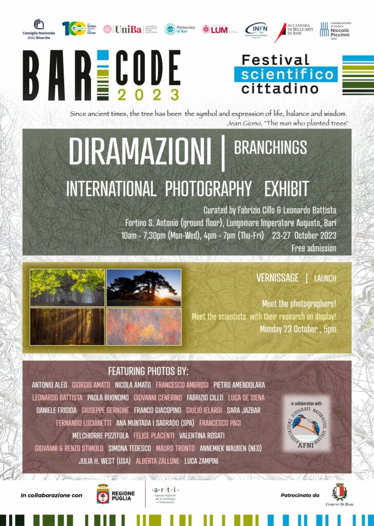 MOSTRA FOTOGRAFICA DIRAMAZIONI scaled