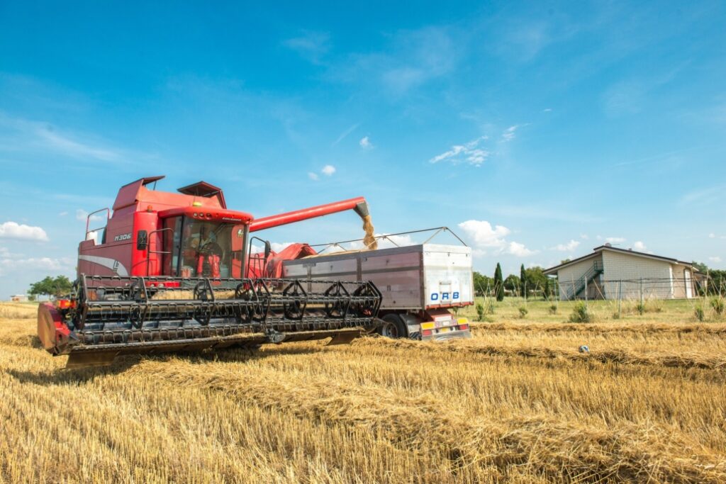 azienda agricola della Fondazione 4