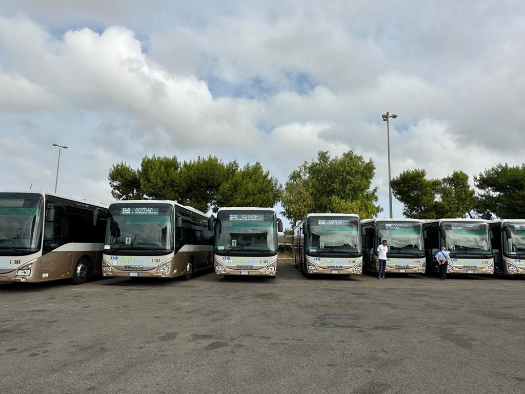 stp br 8