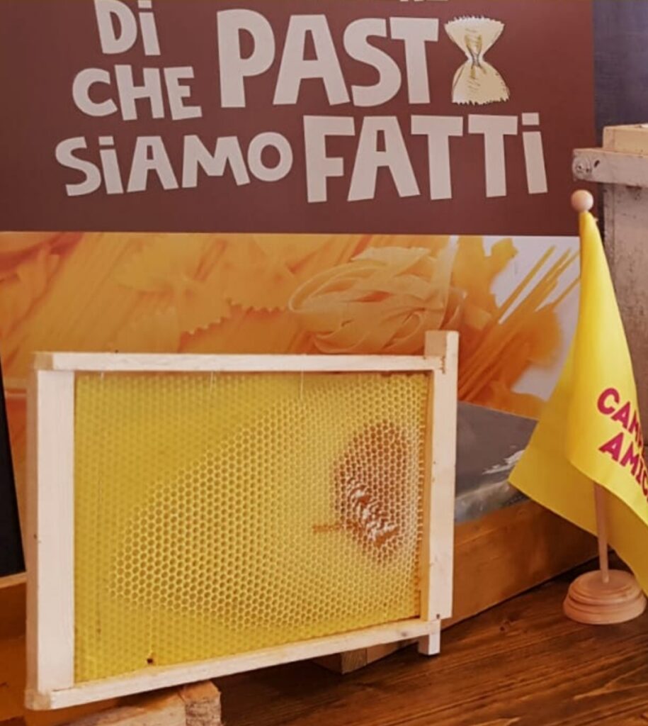 Clima: le conseguenze per il miele, -60 per cento di produzione in Puglia